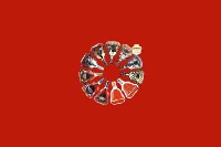 隆子回收红酒
